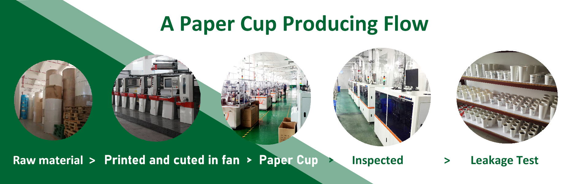 copo de papel, copos de papel descartáveis, copos de papel,xinhua paper cup factory